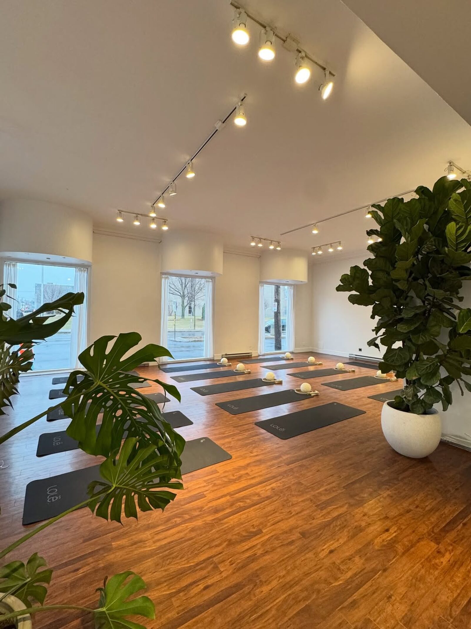 Studio LUXÉA — espace lumineux avec tapis de Pilates et plantes verdoyantes
